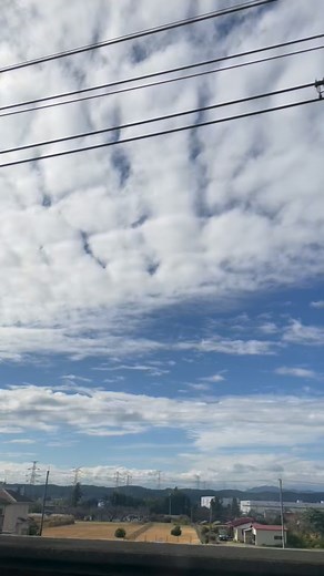 久しぶりにPCのwin10からのwin11へのグレードアップ、mouseコンピュータセットアップ、ネットワーク、wifi設定、hub再構築、監視カメラ、linux、接続不良調整 ケーブルやアダプター紛失、パスワード、ツール名、使い方忘却による自己嫌悪、、、 何時間費やしたんだろうなぁ 忘却力が飛び抜けて優れていることに 感動 ようやく目処ついたので、 東京さ行くだ！ #忘却力 #面白い #ちときつい #気晴らし先は浅草 | Tsuruta Toshinobu