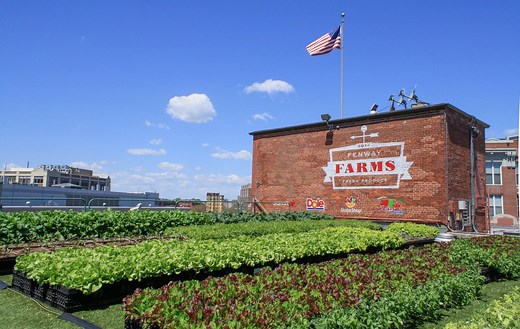 Fenway Farms — Recover Green Roofs