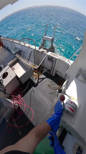 Crayfishing WA on Instagram: "Stacked 🦞 #crayfish #lobster #fishing #ocean #boat"
