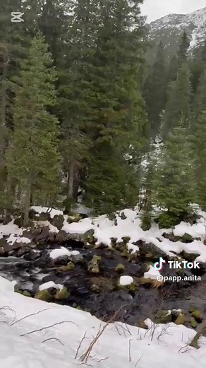 Az ív - egy elveszett méltóság története 14.fejezet: Súlytalanul Emlékezem. És ez most már nem büntetés. Nem elengedni, hordozni tanultam meg a múltat. Letagadni, eltörölni, szégyellni, szépíteni nem kell azt, aki voltam, és vagyok. Nem lennék érthető nélküle. Az emlèkezés nem jótèkony torzítást kér tőlem. Tisztítani hív. A haragtól, szègyentől, mások zajától. A múlt így él bennem tovább. Vádlás és védés nélkül. Súlytalanul. Nem hangsúlytalanul. Nagy munka végeztével egy kicsit megállva. Nem azé