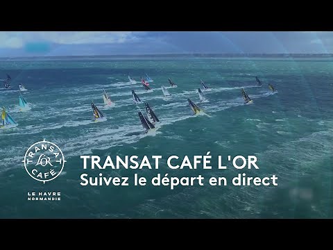Transat Café l'Or 2025 : suivez le départ en direct