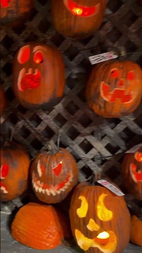 This Jack-o’-Lantern Tunnel is WILD 🎃💀Transworld 2026