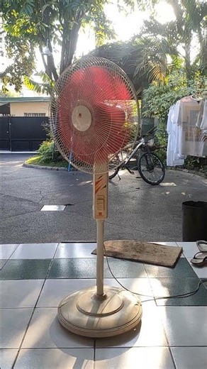 Standard NSC 16 Oscillation| The PVZBloverFan ™