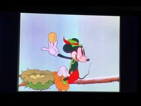 Brother Bear Bone Puzzle Game