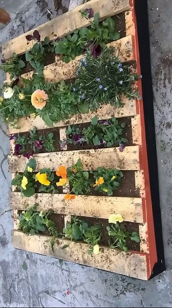 Save this pallet hack for spring! 😍🌿🌱