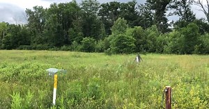 New housing development could be built in Springfield