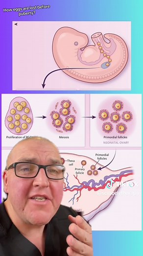 Understanding Egg Loss Before Puberty