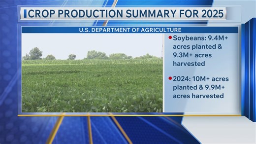 Crop production summary for 2025