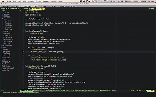 vim 撸码必备插件之 autoformat 与 ale