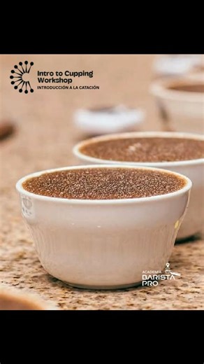 Taller SCA de Introducción a la Catación Descubre el mundo sensorial del café en este taller diseñado para quienes desean comprender cómo se evalúa un café de especialidad. Durante 2 horas de taller, aprenderás los fundamentos de la catación profesional, explorando aroma, sabor y los atributos que definen la calidad del café. Modalidad: Presencial Inversión: $90.40 por persona Incluye todos los materiales Una excelente oportunidad para iniciarte en el proceso de análisis sensorial antes de avanz