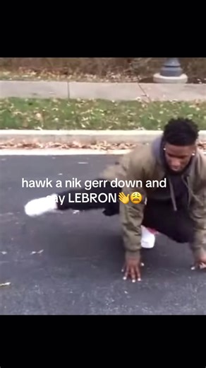 enemyuav (@enemyuav)’s video of hawk