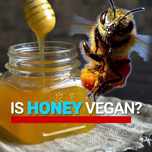 Is Honey Vegan?