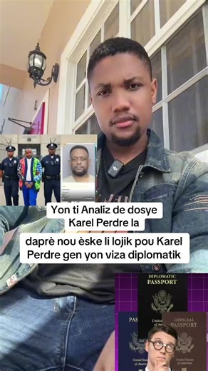 Analysing Karel Perdre's Diplomatic Visa Justification