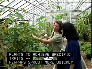Career Planning Video: Plant Scientist