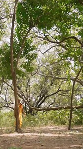 138K views · 2.4K reactions | Episode 03 | Chanakya इस Show के सारे Episodes FREE पाएं यहां https://pockettv.onelink.me/HRWp/22jg5zhx #millionaire #billionaire #lovestory #actiondrama #virals #viralvideo #viralFBvideo | Pocket TV | Facebook