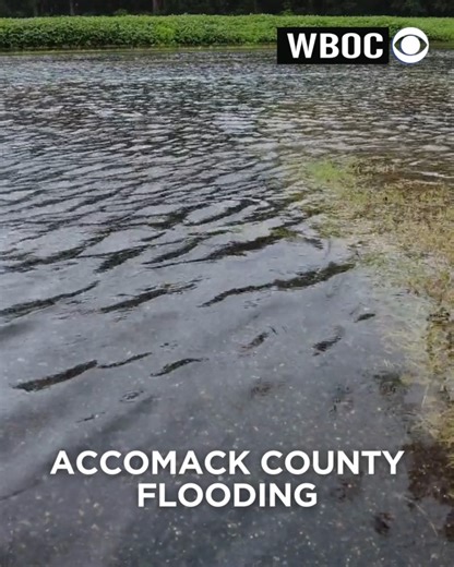 Some neighbors in Accomack County have been hoping for more rain this summer, but not this much this quickly. A flash flood warning was issued this morning in parts of Accomack, and the roads were quickly inundated with water as WBOC's Anthony Evangelista documented today. With Hurricane Erin still to pass us out to sea and bring possible coastal flooding to Delmarva's shores, remember to drive safe and avoid deep water on the roadways! #accomackcounty #accomack #flooding #roadsafety #flood #fla