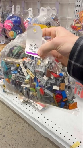 I found a bunch of Lego at the thrift store