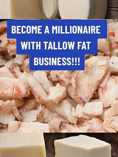 How to Start a Lucrative Tallow Fat Business