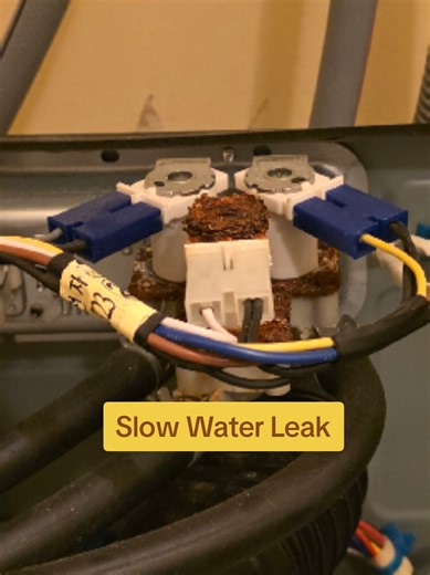 Leaking Washing machine #lg #frontload #washer #leak #fillvalve