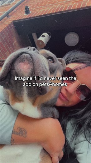 Grateful for you x #fyp #mumsoftiktok #foryoupage❤️❤️ #mood #viral #mh #oeb #bulldog #oeb #for #oldenglishbulldog #rocky