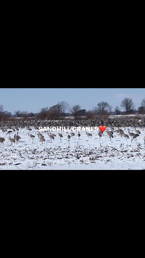 Tony Bradley on Reels