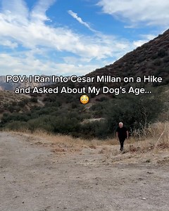 Cesar Millan, legendary dog behaviorist, explains how to understand what your dog is trying to tell you. And shares simple things you can do when your dog asks for help. See for yourself! https://rebrand.ly/MRTYCM | Cesar Millan