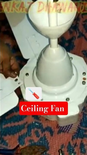 electro fan mania #foryou #shorts