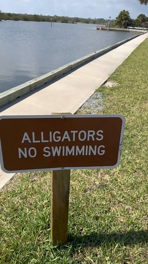 17K views · 21 reactions | This isn’t the first time we have seen...