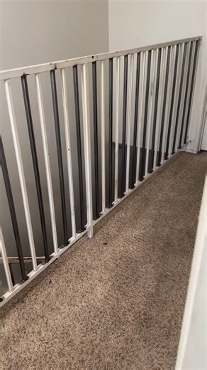 I swear I clean best when nobody’s home 😭 Something about the quiet turns me into a five star maid service. But real question… does anyone else get annoyed after they ask people for help? Like now I don’t even want the help anymore 😂🫠 toxic or nah #clean #cleaning #cleaningmotivation #relatable #cleaninginspo #cleaningreels #cleaningtime #cleaningup #cleaningobsessed | Sydney Floyd