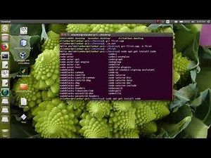 CUI & GUI based C++ Program in Linux