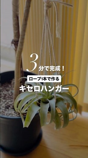 3分で出来るキセロハンガーの作り方。 #エアプランツ #チランジア #観葉植物 #キセログラフィカ