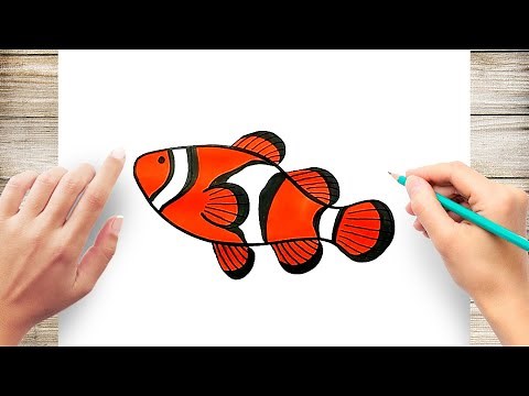 How to Draw A CLOWN FISH