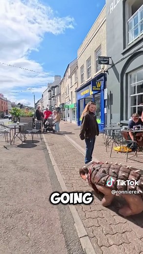 🐶🦖 Turns out Monmouth is VERY dog friendly… and nobody told Conker. Today we took Conker for a little adventure around the lovely town of Monmouth, and within minutes we realised one thing… There were dogs EVERYWHERE. 😂 Big dogs, little dogs, curious dogs, barking dogs, brave dogs and a few that clearly weren’t quite sure what species Conker was supposed to be. Of course, there was one small problem… We forgot to get Conker a lead. So while all the well-behaved dogs were being walked nicely a