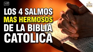 62K views · 6.3K reactions | Siempre que tengas un problema puedes...