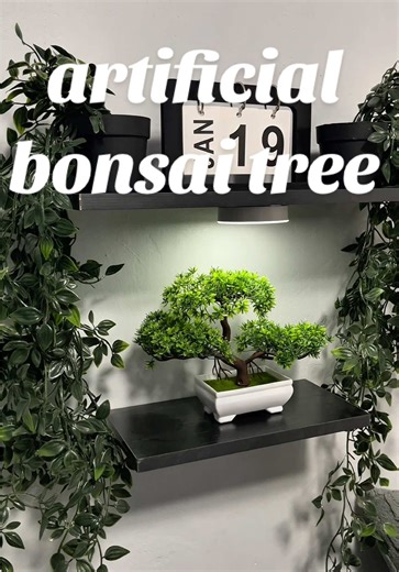 Artificial Bonsai Tree: Perfect Decoration for Aesthetic Rooms