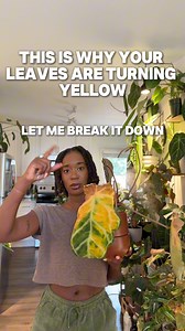 1M views · 14K reactions | Here is why your leaves are turning yellow...