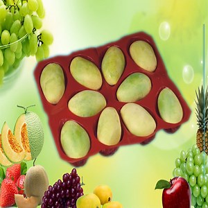 [Hot Item] Mango PP Plastic Fruit Tray with Holes