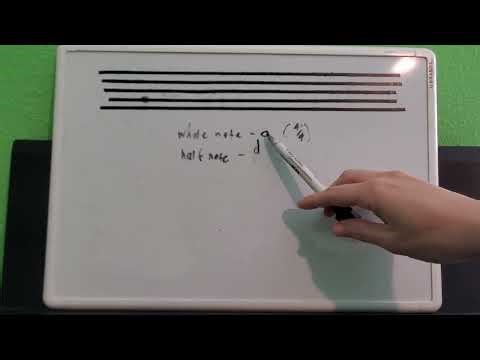 Whole Notes, Half Notes, and Quarter Notes