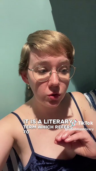 I think sometimes folks use it to imply that the character reads like y/n in a [character]xReader fic, suggesting that the quality of writing overall is novice, but reader inserts are an entirely different literary device (which still can be executed by a skilled enough writer). It's also often used to disparage creator's physical appearances (largely women) and sometimes used to cast some REALLY weird moral judgments on folks for writing was are some pretty inoffensive books at the end of the d