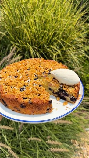 blueberry crunch cake