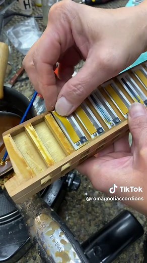 How to Properly Store Accordions: Tips and Tricks!