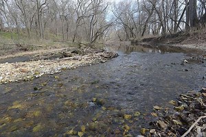 Spring-fed stream, trails, among delights at Flint Creek preserve | Arkansas Democrat Gazette