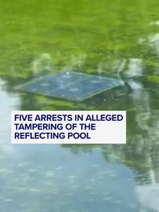 Three-time U.S. Olympian David Hearn told ABC News that police arrested him on Friday after he touched a piece of blue coating that was partially detached from the bottom of the Lincoln Memorial Reflecting Pool. ABC News’ Christiane Cordero has the latest on issues — including algae and peeling paint — plaguing the Trump administration’s $14.65 million renovation project. #WashingtonDC #ReflectingPool #Politics #News #ABCNews