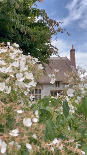 8.9K views · 170 reactions | Here's a reminder that Spring is coming to England very soon! Wishing you all a lovely Sunday  : @travelonearthofficial/IG | VisitEngland | Facebook