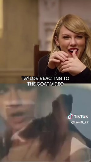 Taylor Swift Goat Reaction | Funny Moments Compilation
