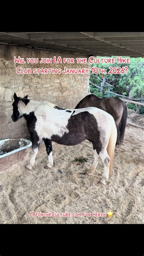 Will you join #lafortheculture #hike #club starting Saturday, January 10th, 2026? The LA for the Culture hiking club is a free community club, held every first Saturday of the month. Different trails & hikes each month. Not a hiker? Perfect. Just want community, fresh air, and good energy? Even better. The LA for the Culture Hiking Club is about moving at your own pace, meeting dope people, and starting your weekends with intention. No pressure. No judgment. Just us. We’re hitting the trail next