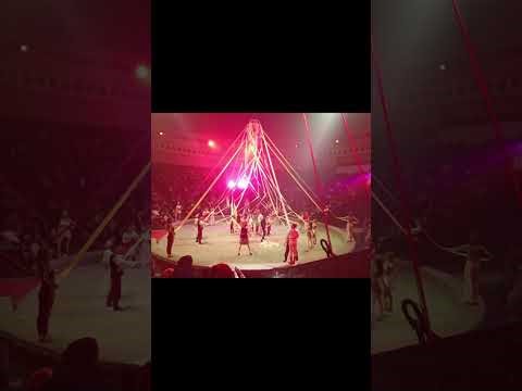 Unforgettable Circus Performance with Live Orchestra | Visual & Musical Magic#circus#performance