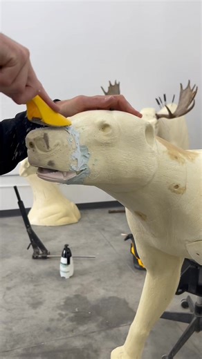 644K views · 5K reactions | Split lip open mouth bear process #exceedtheexpectation #satisfying #art #wildlifeart #wildlife #fypシ #animalartist #hunting #fyp #satisfying #custom #wildifetaxidermy | JB's wildlife designs | Facebook