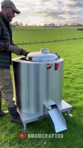 🐔➡️🐥 Chicken In, Chicks Out! Crazy Machine !