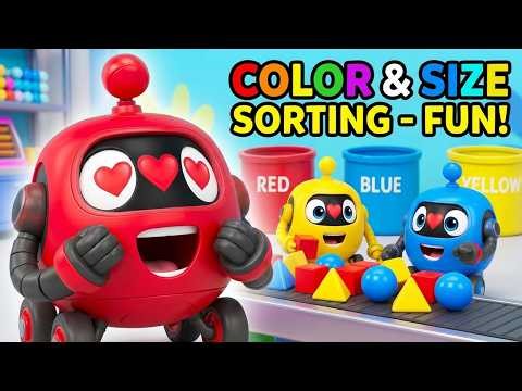 Color and Size Sorting | Preschool Learning for Toddlers